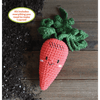 Crochet Your Veggies Carrot Amigurumi Kit - DIGS