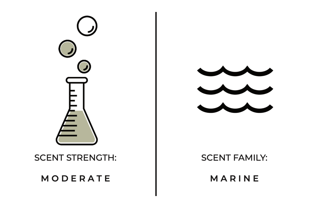 Crushed Salt + Mist Mini Candle - DIGS