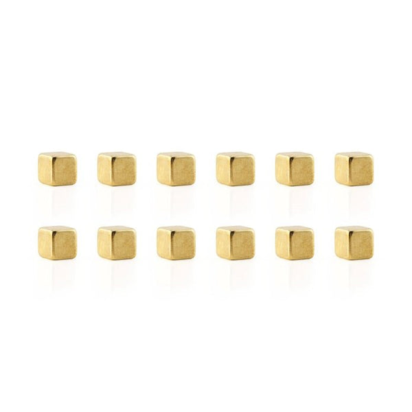 Cube Mighties Magnets: 12 pack - DIGS