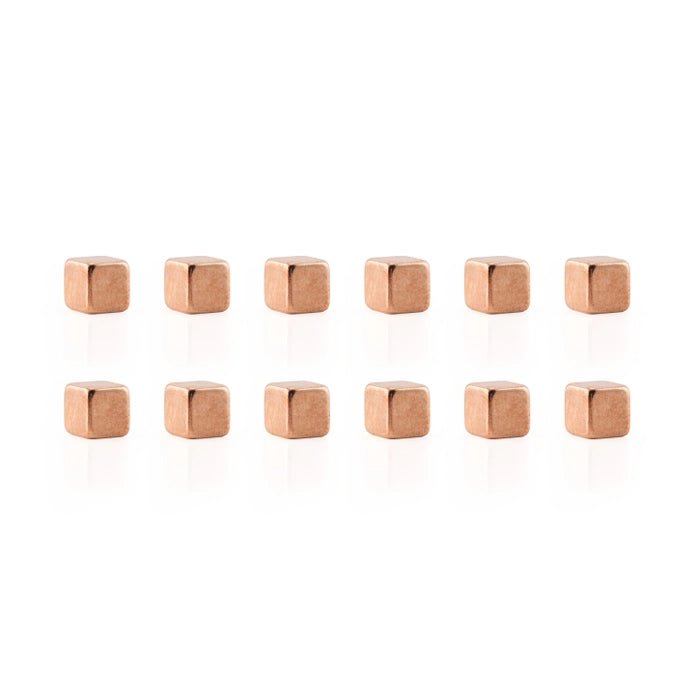 Cube Mighties Magnets: 12 pack - DIGS