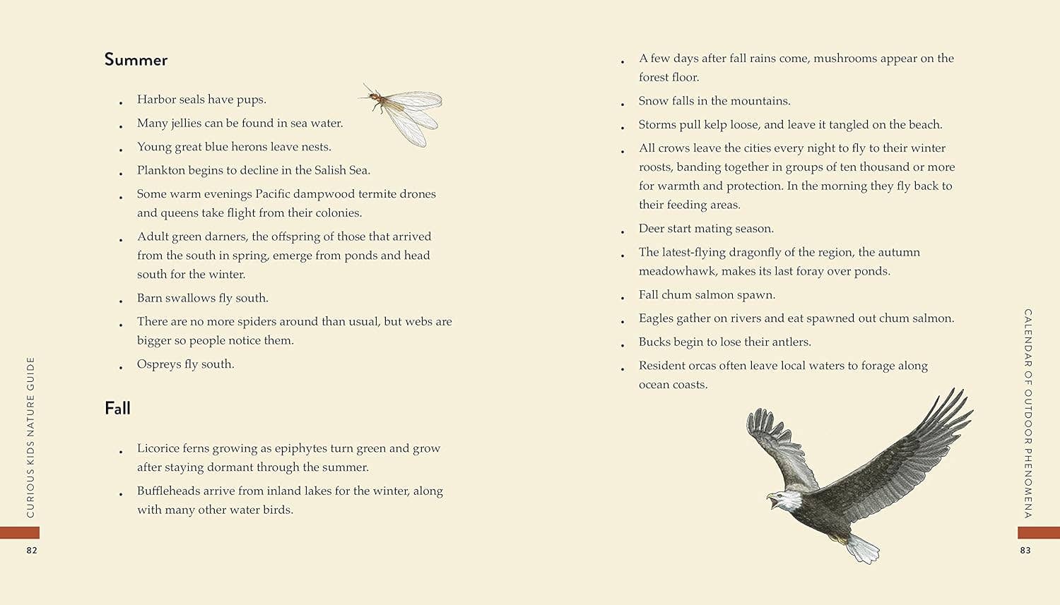 Curious Kids Nature Guide: Explore the Pacific Northwest - DIGS