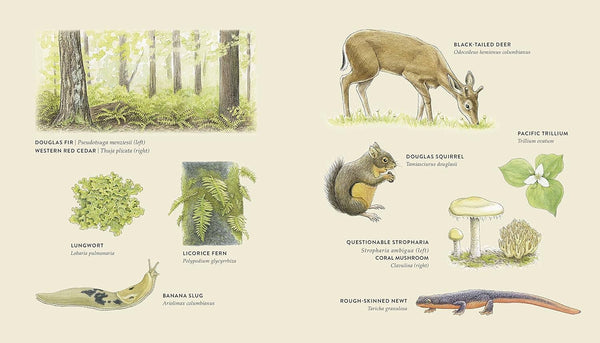 Curious Kids Nature Guide: Explore the Pacific Northwest - DIGS