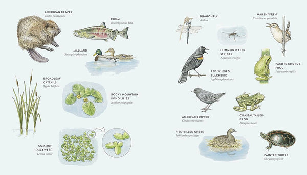 Curious Kids Nature Guide: Explore the Pacific Northwest - DIGS