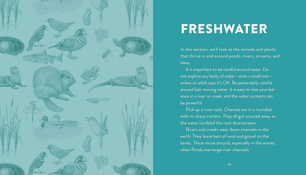 Curious Kids Nature Guide: Explore the Pacific Northwest - DIGS