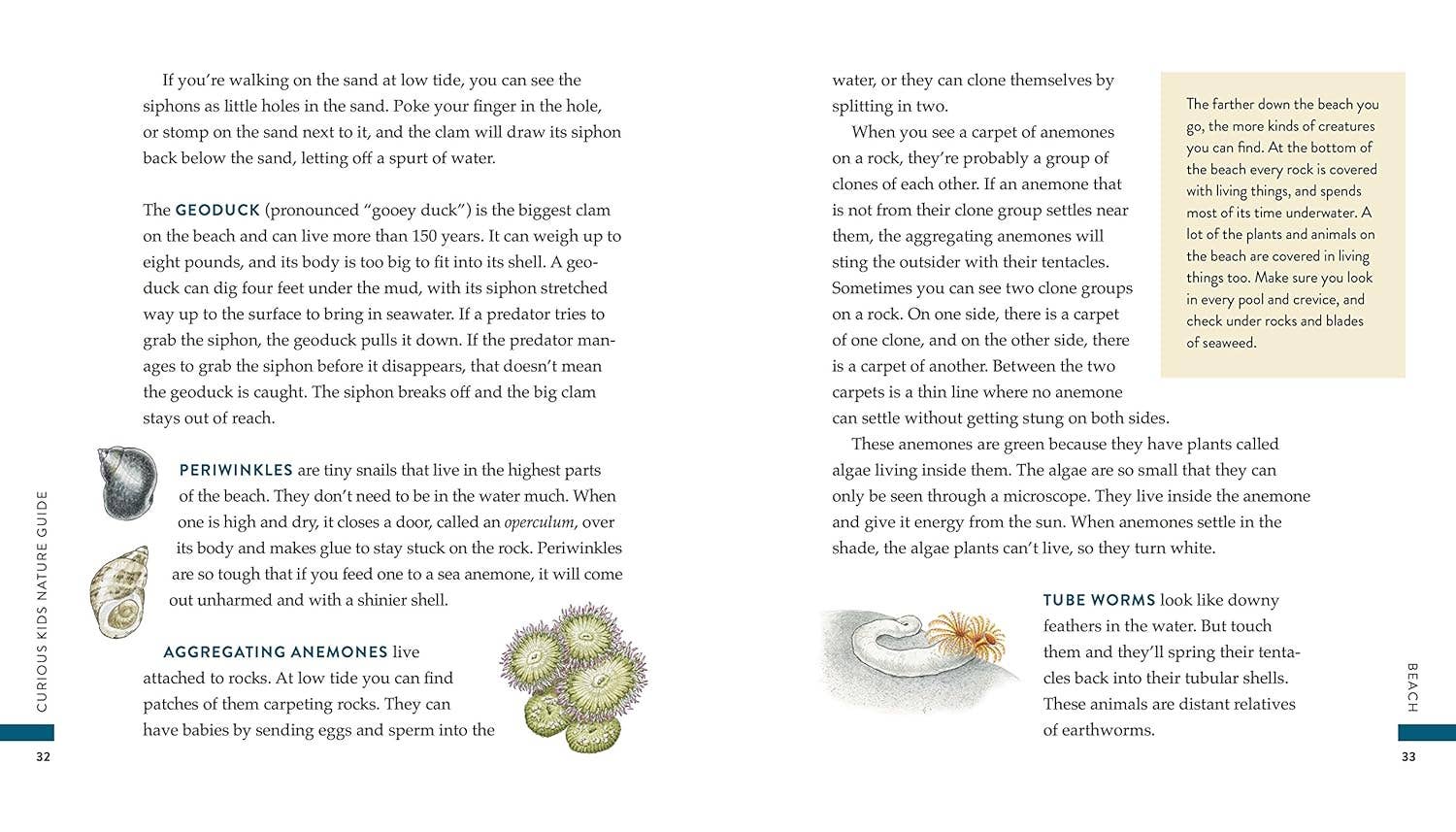 Curious Kids Nature Guide: Explore the Pacific Northwest - DIGS