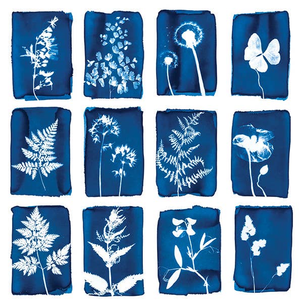 Cyanotype Card Set | 12 - DIGS