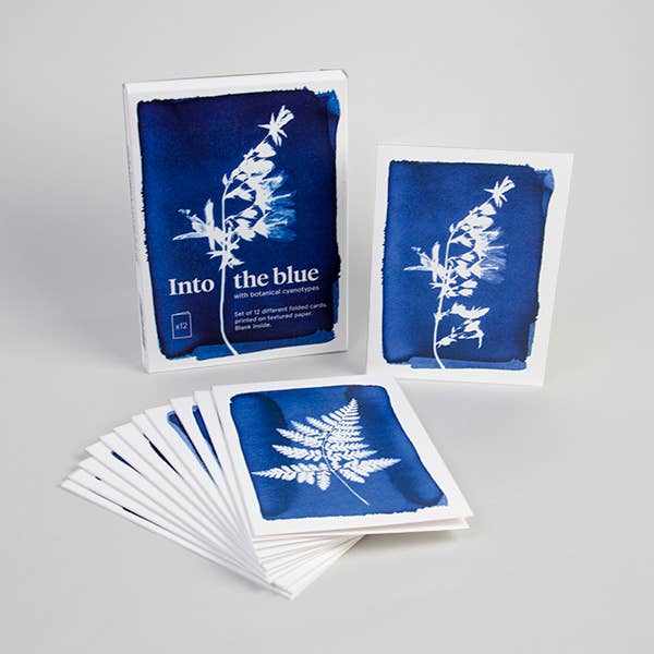 Cyanotype Card Set | 12 - DIGS