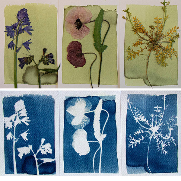 Cyanotype Kit - DIGS