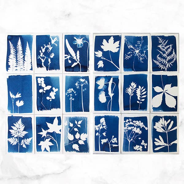 Cyanotype Kit - DIGS