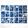 Cyanotype Kit - DIGS