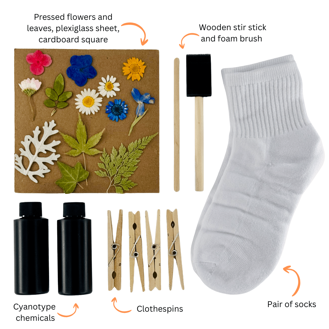 Cyanotype Socks DIY Kit - DIGS