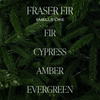 Fraser Fir Candle