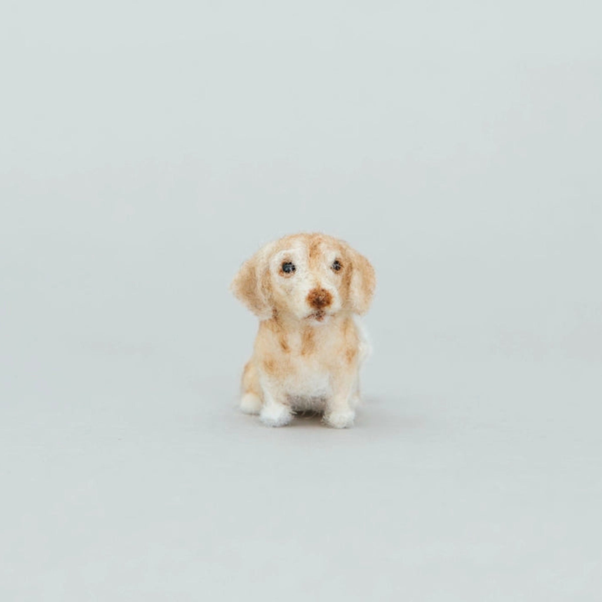 Dachshund Needle-Felting Kit - DIGS