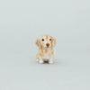 Dachshund Needle-Felting Kit - DIGS