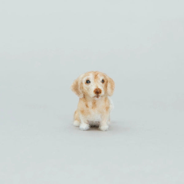 Dachshund Needle-Felting Kit - DIGS
