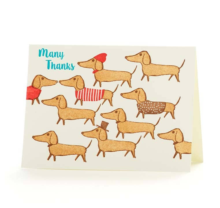 Dachshund Thank You Card - DIGS