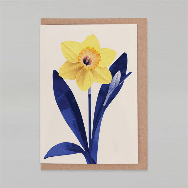 Daffodil Greeting Card - DIGS