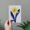 Daffodil Greeting Card - DIGS