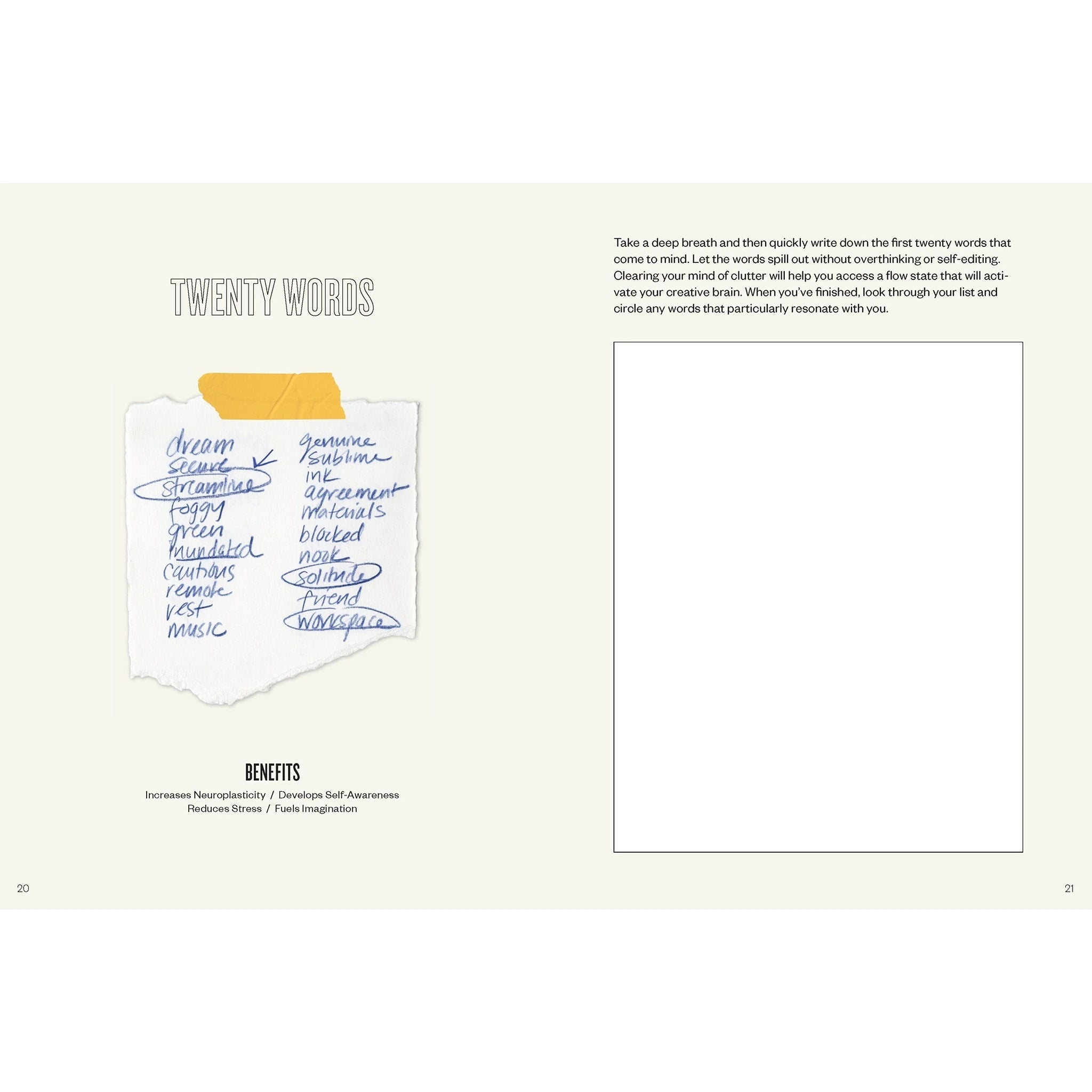 Daily Creative: The 5-Minute Habit to Rewire Your Brain - DIGS