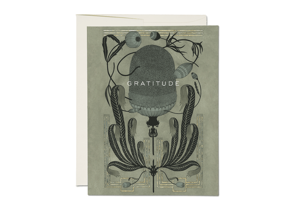 Deco Gratitude Card Boxed Set - DIGS