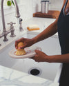 Dishbar: Eucalyptus - DIGS