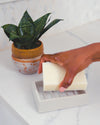 Dishbar: Eucalyptus - DIGS