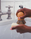 Dishbar: Fragrance - Free - DIGS