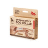 DIY Cross Stitch Dog Collar - DIGS