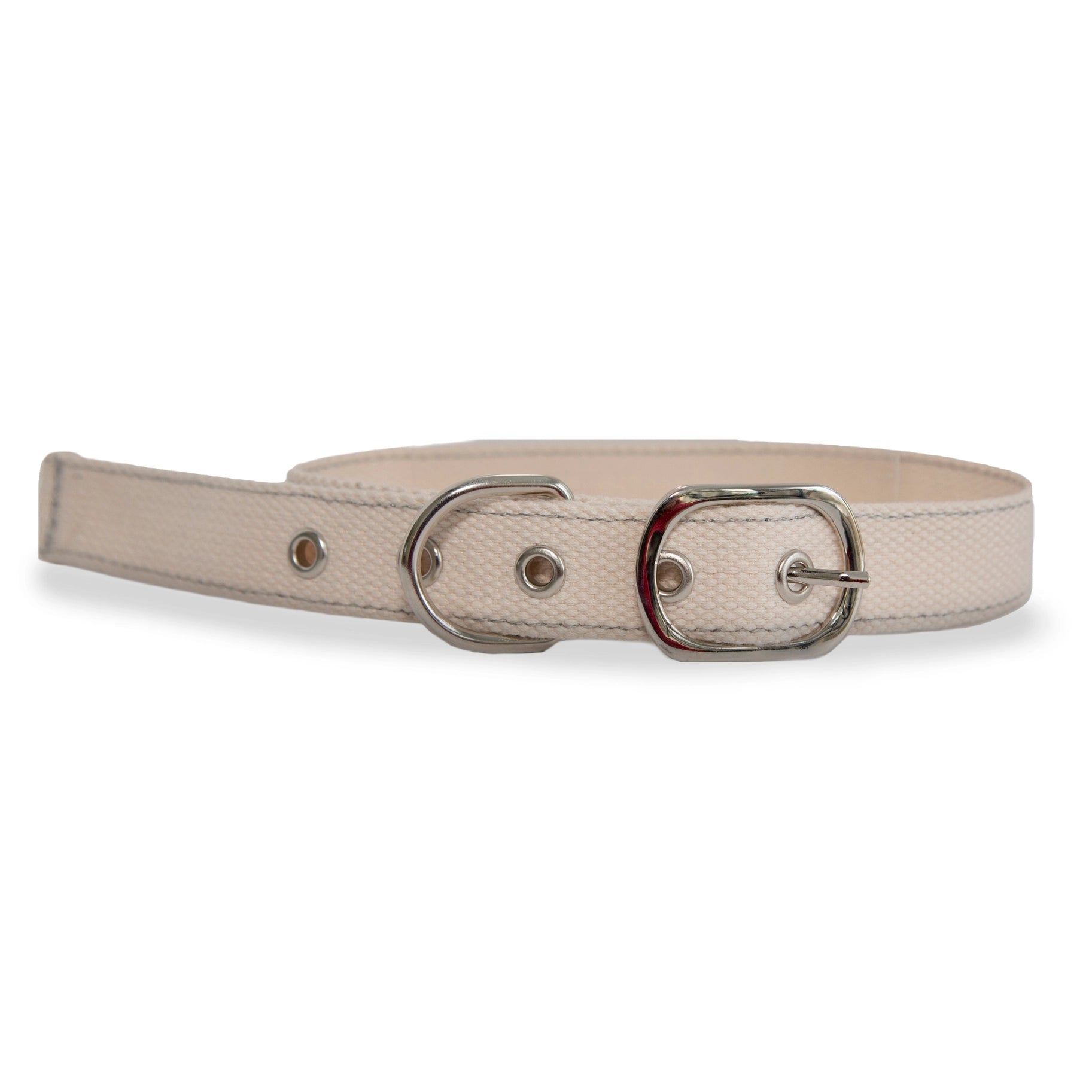 DIY Cross Stitch Dog Collar - DIGS