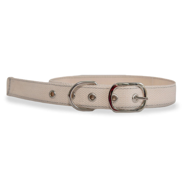 DIY Cross Stitch Dog Collar - DIGS