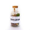 DIY Terrarium Kit - DIGS