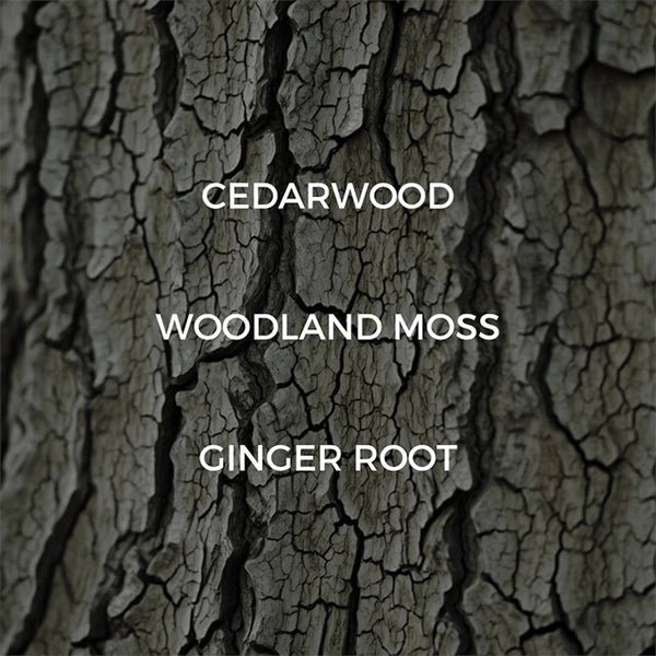 Dried Cedar + Moss Candle - DIGS