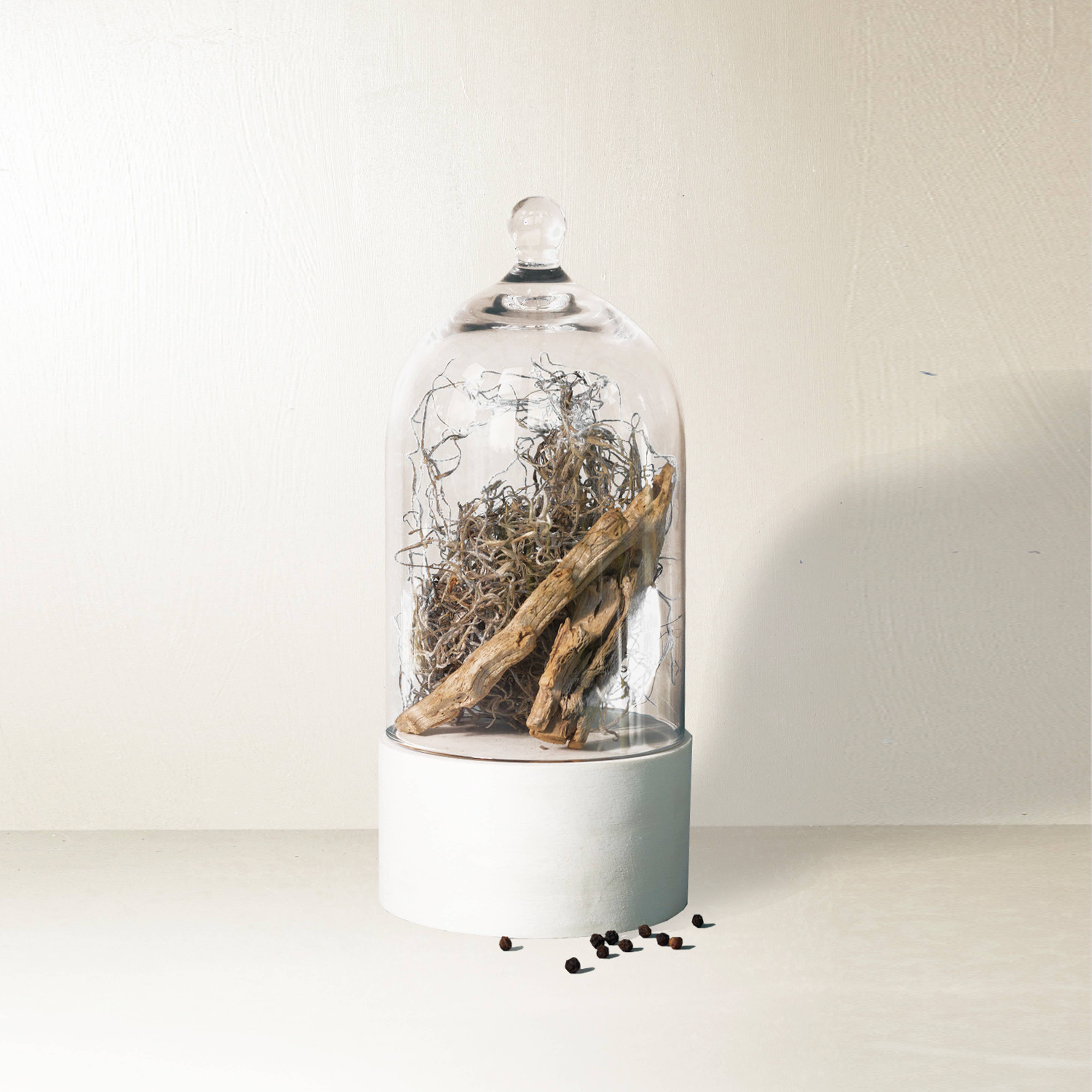 Dried Cedar + Moss Mini Candle - DIGS