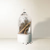 Dried Cedar + Moss Mini Candle - DIGS
