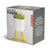 Duck Feet Planter - DIGS