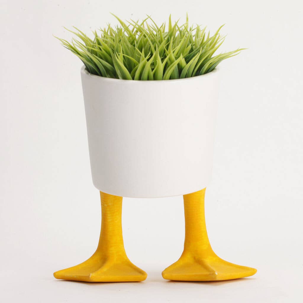 Duck Feet Planter - DIGS