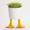 Duck Feet Planter - DIGS