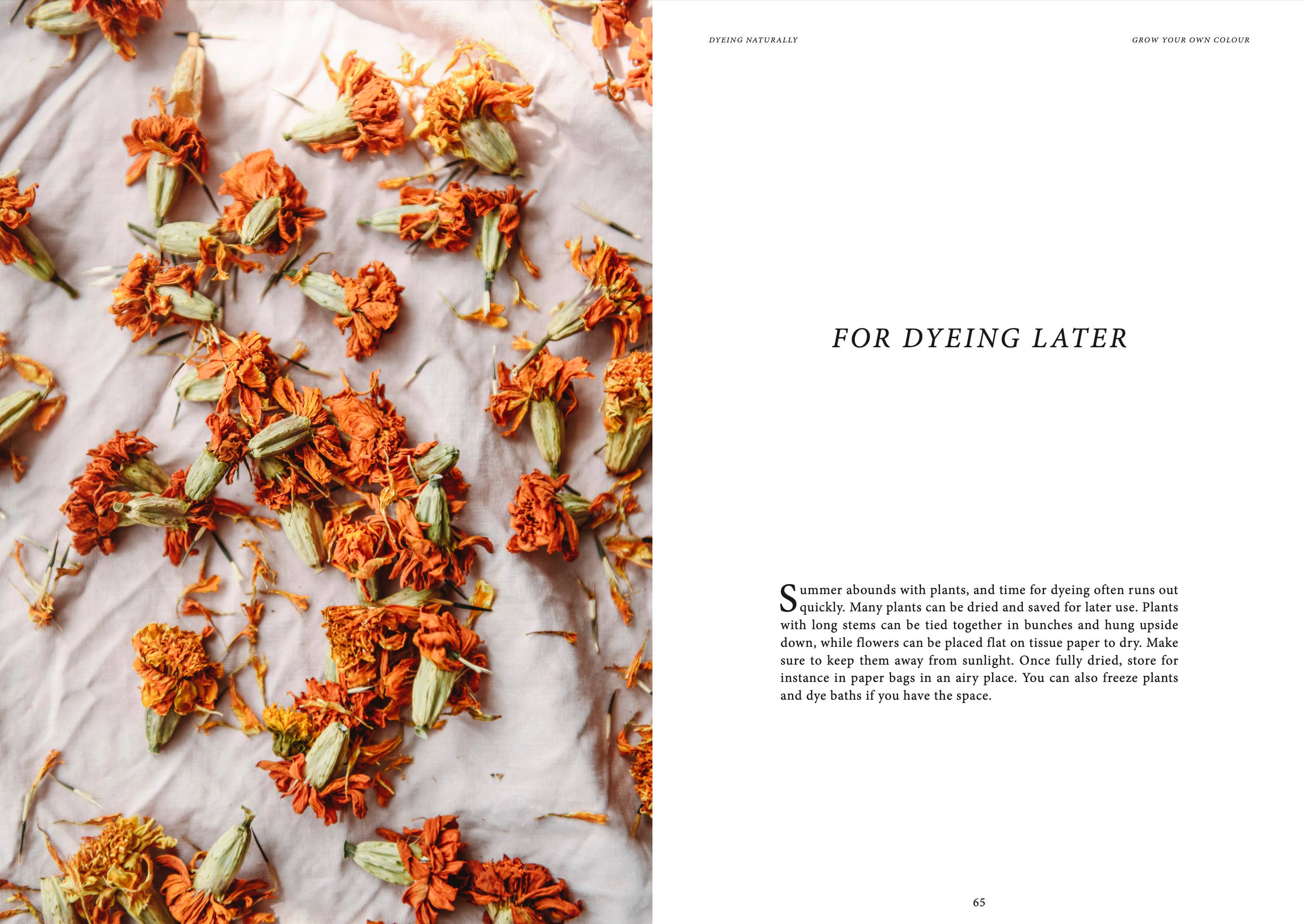 Dyeing Naturally - DIGS
