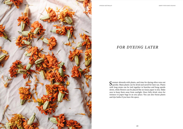 Dyeing Naturally - DIGS