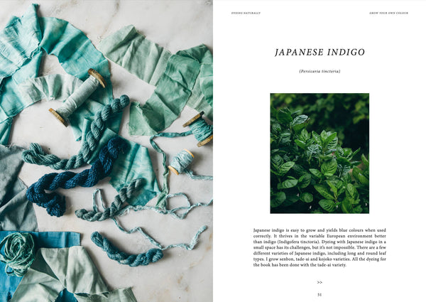 Dyeing Naturally - DIGS