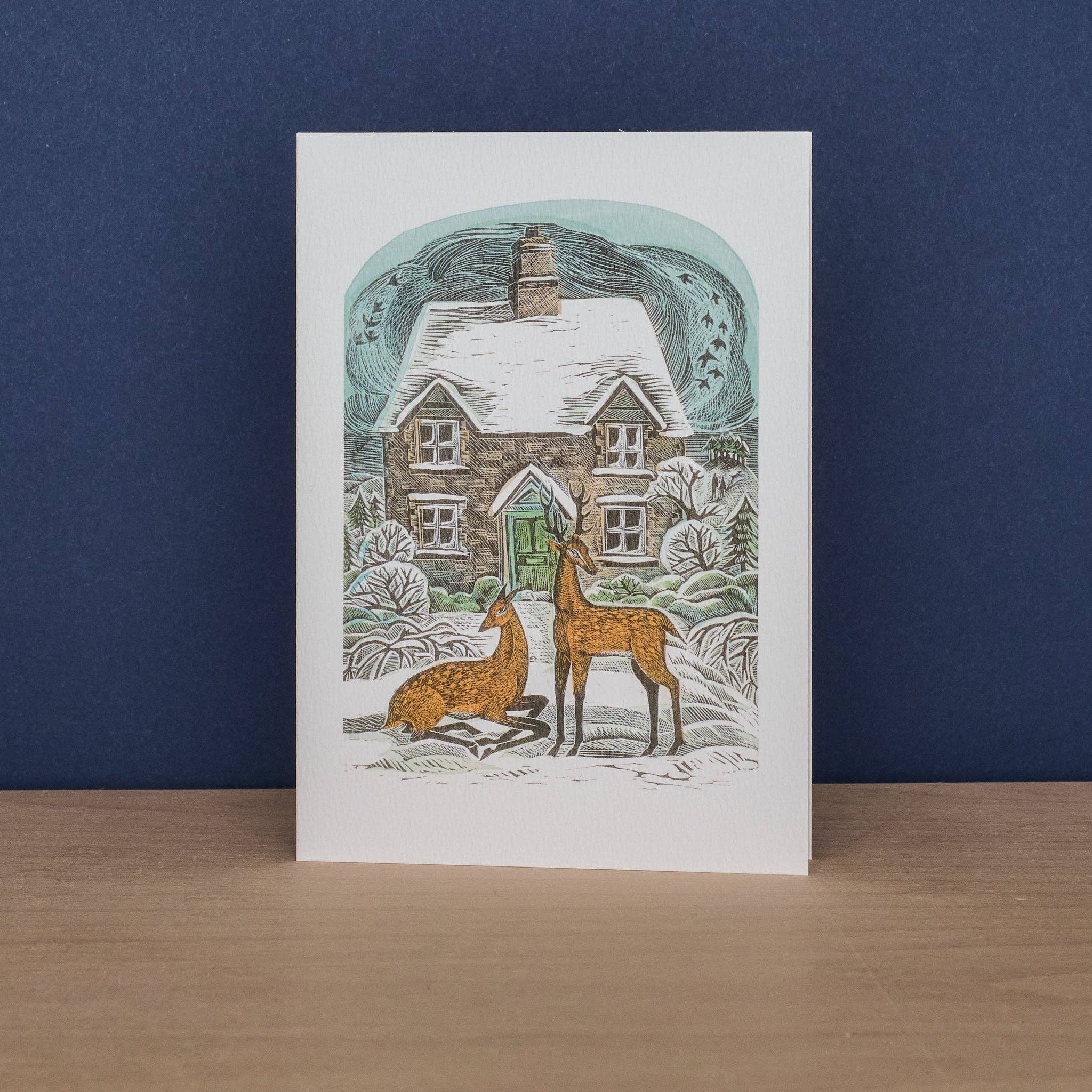 Owl Flight & Christmas Cottage Boxed Set of Cards