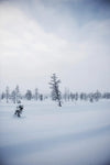 Eat Finland - DIGS