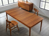 Erikka Extendable Dining Table - DIGS