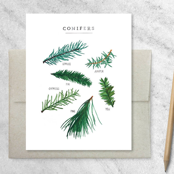 Evergreen Card - DIGS