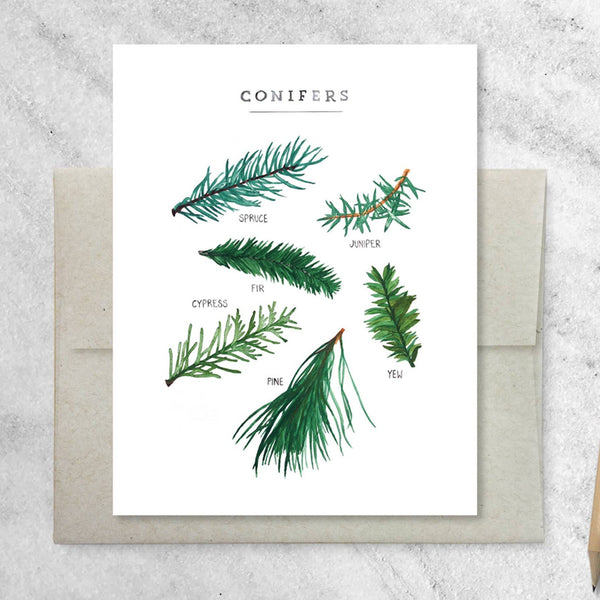 Evergreen Card Boxed Set - DIGS