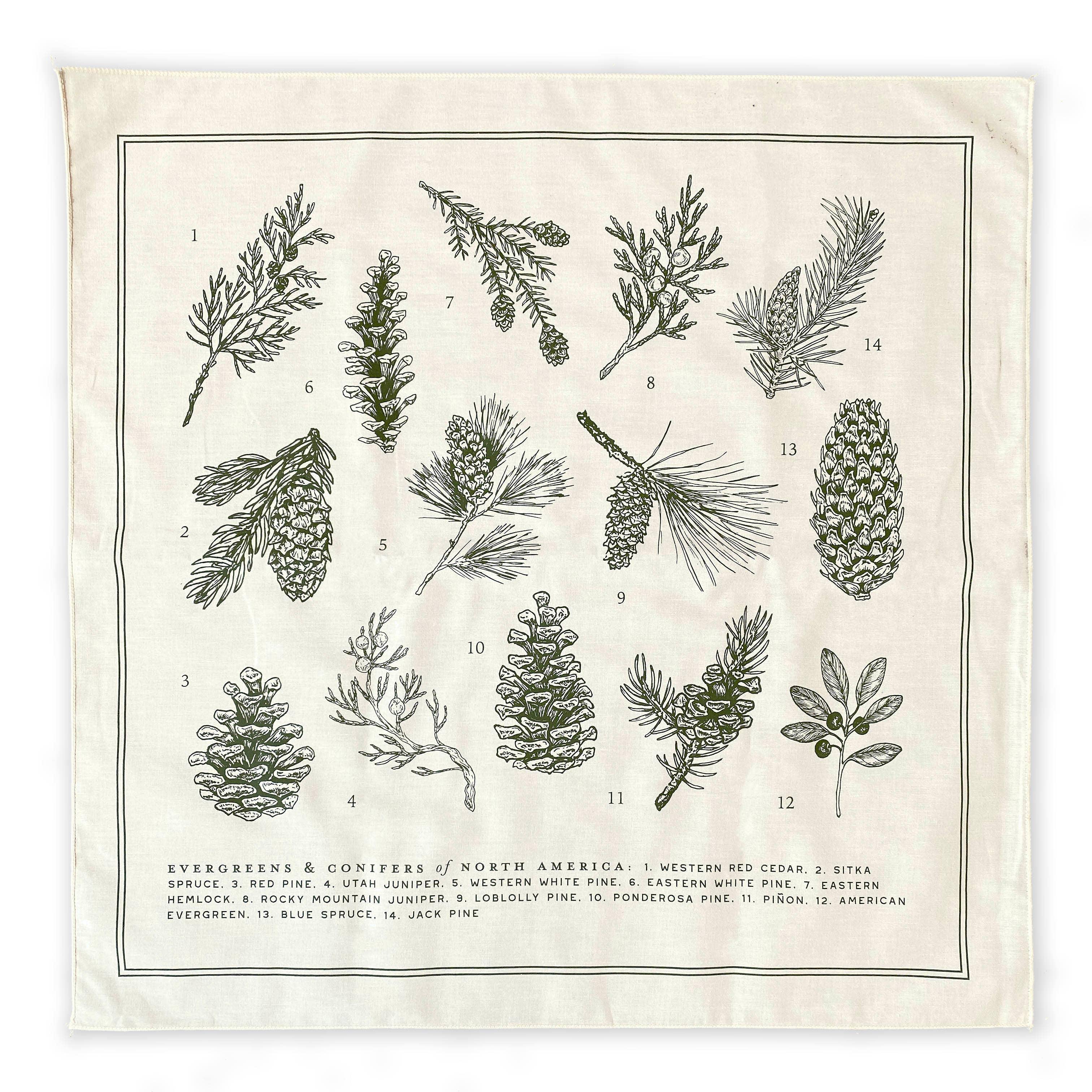 Evergreens of North America Bandana - DIGS