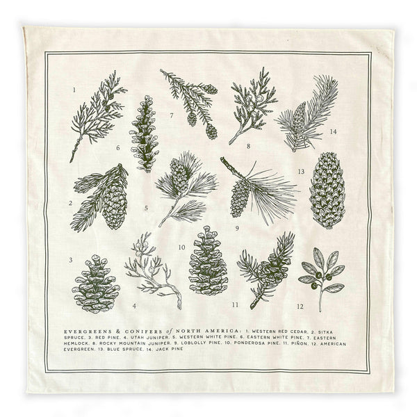 Evergreens of North America Bandana - DIGS