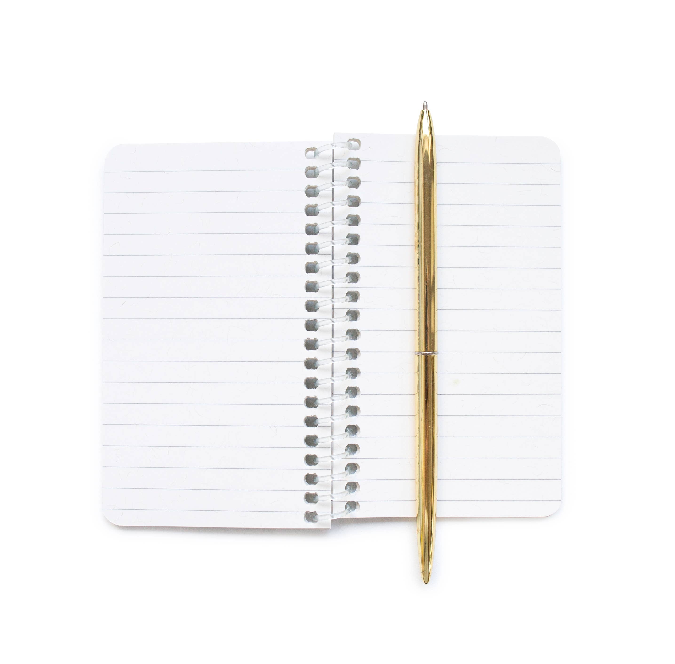 Eye Memo Book - DIGS