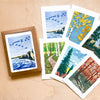 Fall Themed Boxed Cards - DIGS