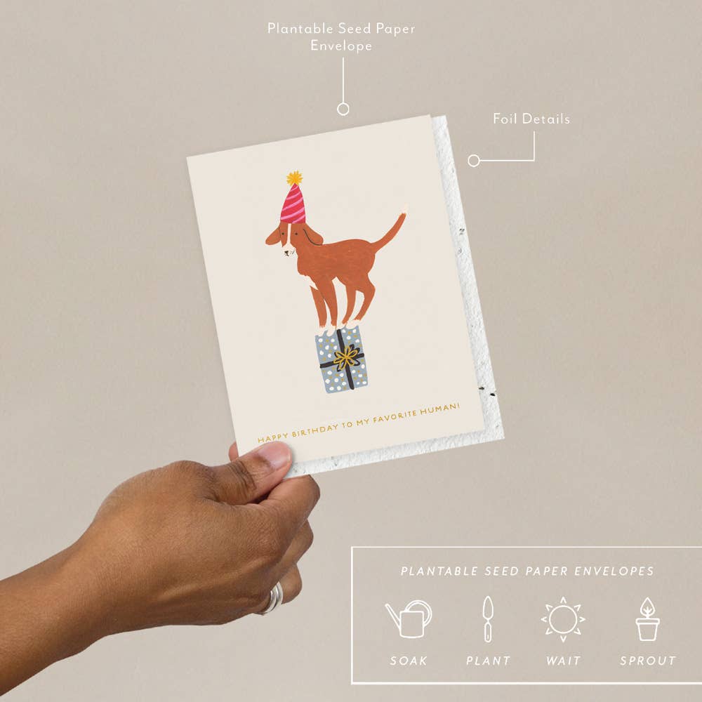 Favorite Human Dog Birthday Card - DIGS